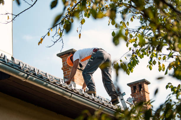 Best Storm Damage Roof Repair  in Victoria, KS
