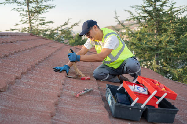 Best Roof Gutter Cleaning  in Victoria, KS